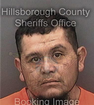 Alexis Munozmunoz, - Hillsborough County, FL 