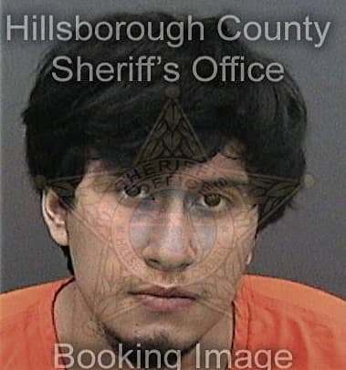 Alex Borenstein - Hillsborough County, FL 