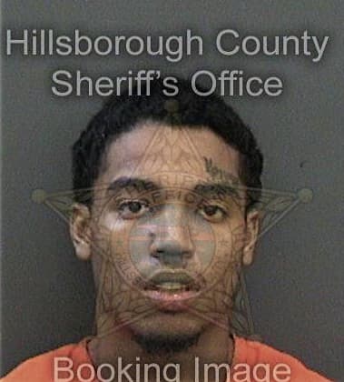 Yahir Correa-Castro, - Hillsborough County, FL 