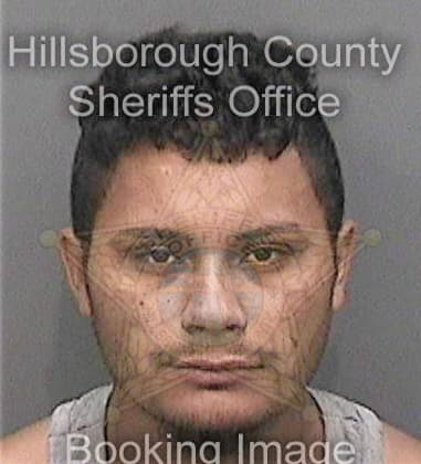 Michael Dixon, - Hillsborough County, FL 