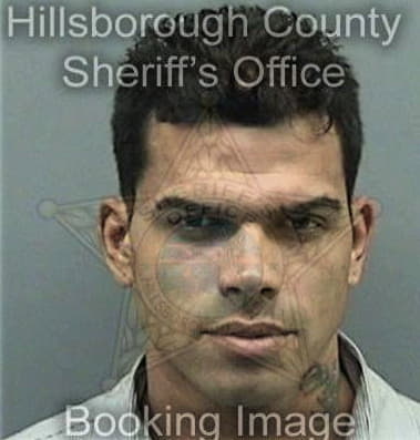 David Manning, - Hillsborough County, FL 