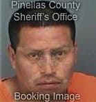 Elastro Perez, - Pinellas County, FL 