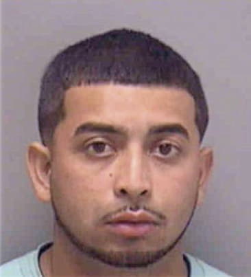 Israel Rosa, - Lee County, FL 