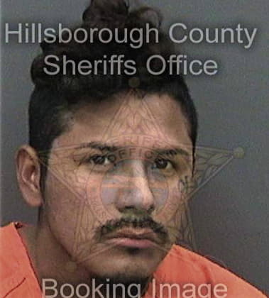William Whitaker - Hillsborough County, FL 