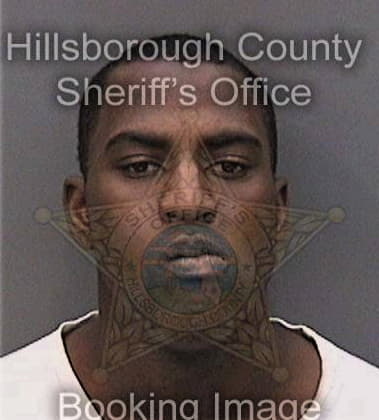 Reginald Johnson, - Hillsborough County, FL 