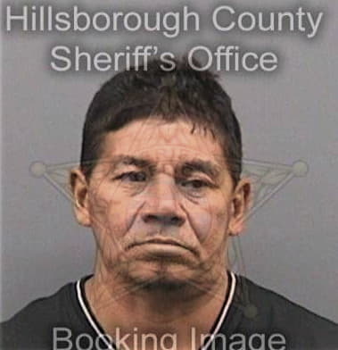 Brian Seufzer, - Hillsborough County, FL 