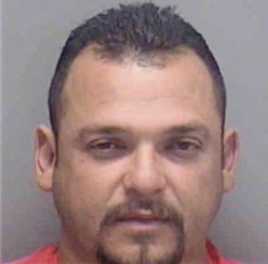 Eliseo Ajanel-Perez, - Lee County, FL 