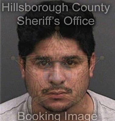 Christopher Bowers - Hillsborough County, FL 