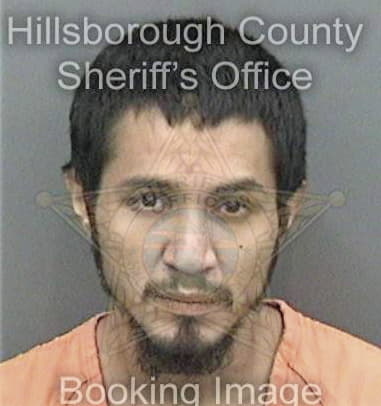 John Gibson, - Hillsborough County, FL 