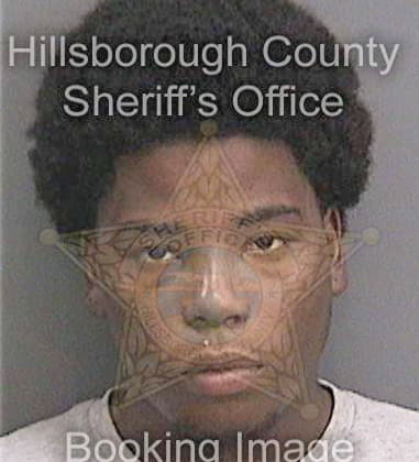 Tavares Hudgins, - Hillsborough County, FL 