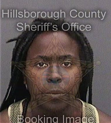 Leetasha James, - Hillsborough County, FL 