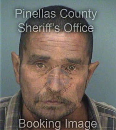 Jose Medina, - Pinellas County, FL 