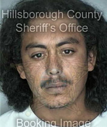 Reynaldo Pacheco, - Hillsborough County, FL 