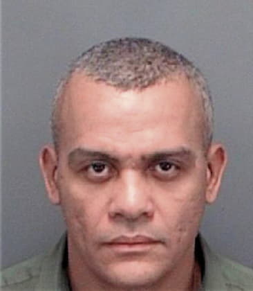 Maximino Dejesus, - Pinellas County, FL 