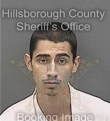 Andres Luciomeneses, - Hillsborough County, FL 