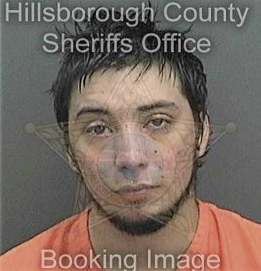 Stephen Neel, - Hillsborough County, FL 