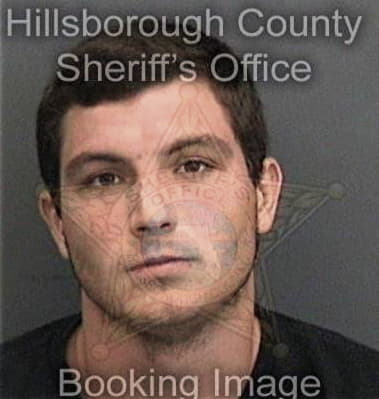 Santy Alvarez, - Hillsborough County, FL 