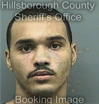 Jeffery Cosby, - Hillsborough County, FL 