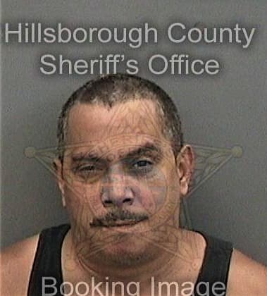 Mark Gaches, - Hillsborough County, FL 