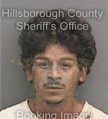 Pedro Hernandez - Hillsborough County, FL 