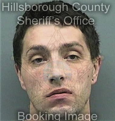 Daniel Hernandezperez - Hillsborough County, FL 