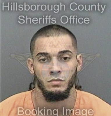 Robert Morgenroth, - Hillsborough County, FL 