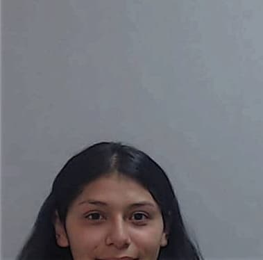 Andrea Villareal, - Hidalgo County, TX 