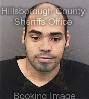 Enriquillo Batista, - Hillsborough County, FL 