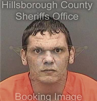 Mark Dishman, - Hillsborough County, FL 