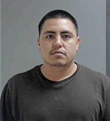 Mark Guzman, - Hidalgo County, TX 