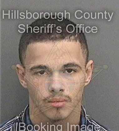 Dainier Hernandezalva - Hillsborough County, FL 
