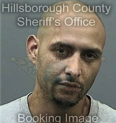 Bruce Hicks - Hillsborough County, FL 