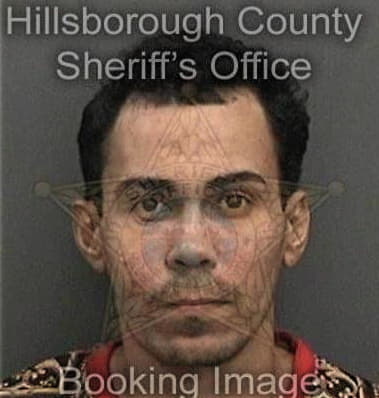 Jorge Lopezcespedes, - Hillsborough County, FL 