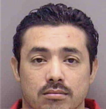 Joaquin Marte, - Lee County, FL 