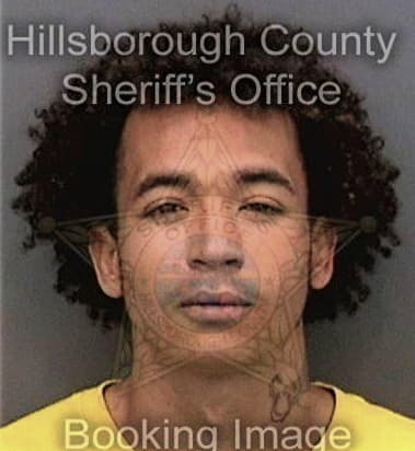 Davis Riveraayala - Hillsborough County, FL 