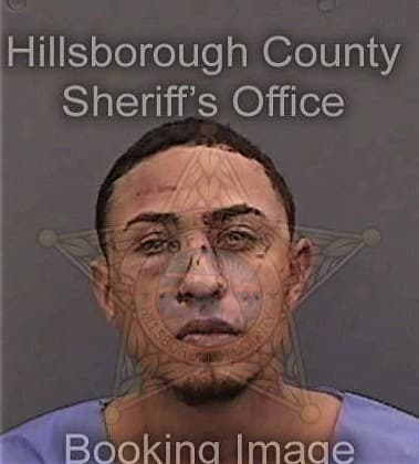 Thomas Shults, - Hillsborough County, FL 