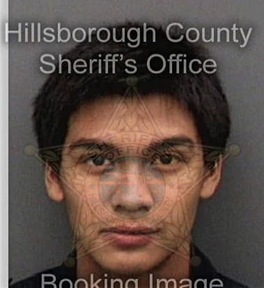 Michael Tran, - Hillsborough County, FL 