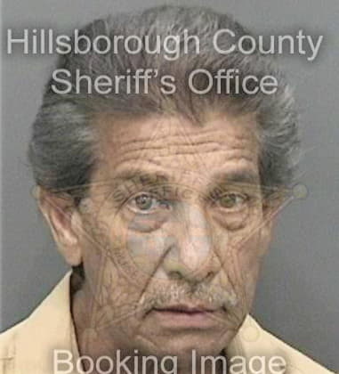 Mario Zelayareyes, - Hillsborough County, FL 