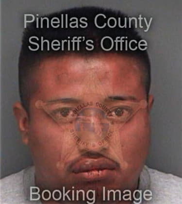 Jose Avallaneda, - Pinellas County, FL 