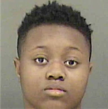 Erica Echols, - Mecklenburg County, NC 