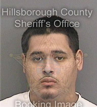 David Fish, - Hillsborough County, FL 