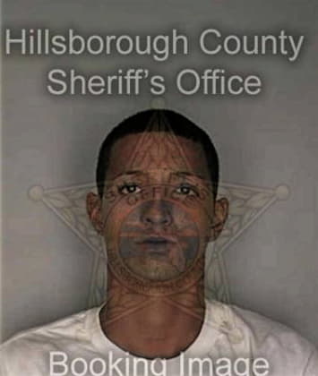 Timothy Flannigan, - Hillsborough County, FL 