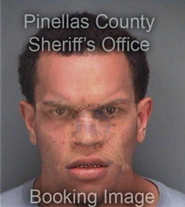 Nicholas Henson, - Pinellas County, FL 