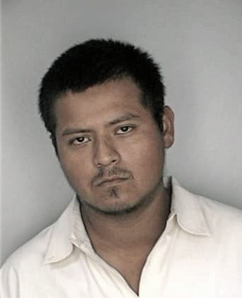 Manuel Ortizquinones, - Hillsborough County, FL 