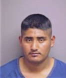 Raymond Penaloza, - Manatee County, FL 