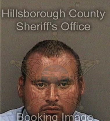 Dayron Perez, - Hillsborough County, FL 