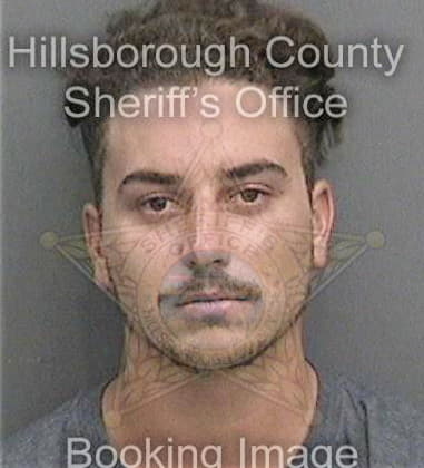 Adonis Alvarez, - Hillsborough County, FL 