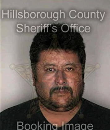 David Briggs - Hillsborough County, FL 