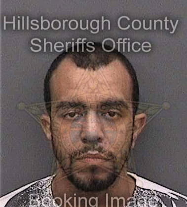 Raidel Linaresbenitez, - Hillsborough County, FL 