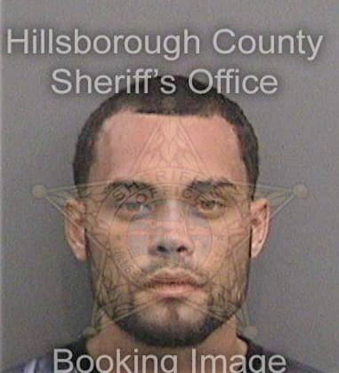 Matthew Perinovic, - Hillsborough County, FL 